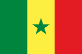 Senegal scenery flag